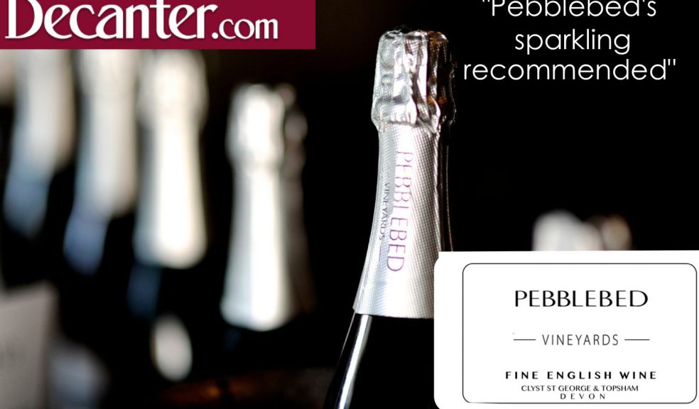 Pebblebed's sparkling wine recognised as one of the best in the UK